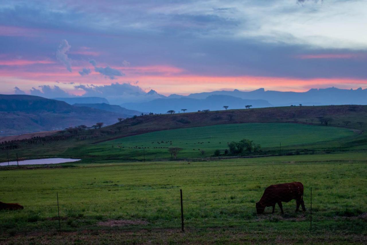 Kezlyn Farm Cottages Bergville Exterior foto